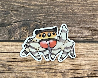 2” Regal Jumping Spider! Cute spider waterproof vinyl sticker!