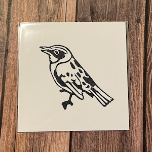 LTD 4x4” Yellow Rumped Warbler print