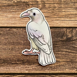 3” White Raven glossy vinyl sticker