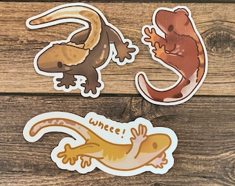 Crested Geckos!! Flame and normal morph, and Wheee! Jumping gecko! Stickers!
