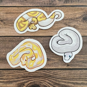 May include: Three colourful snake stickers on a wooden surface. The stickers feature illustrations of snakes in shades of yellow, brown, and grey. Each sticker has a white border.