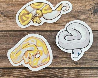 Pegatinas de serpiente pitón bola de 7,6 cm. Vinilo brillante: ¡morfos albino, moteado y lavanda!