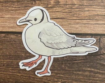 ステッカー: セグロカモメ | カモメ | 海鳥 中型ビニール防水丈夫