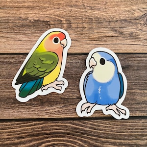 3” Lovebird vinyl stickers!