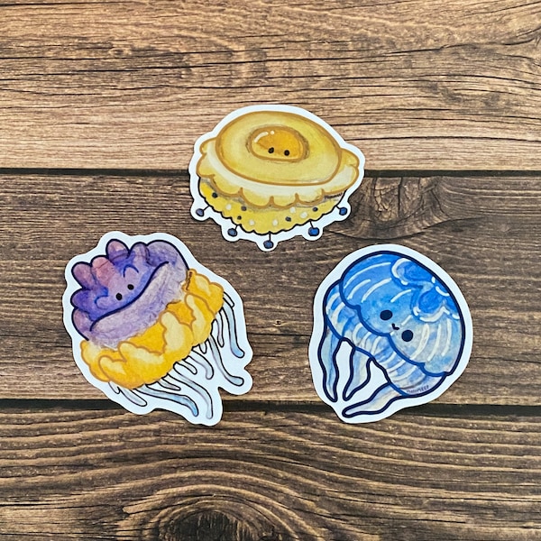 Jellyfish friends- Cauliflower, Egg yolk and Moon jellies! Waterproof glossy vinyl stickers!