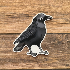 3” Crow waterproof glossy sticker
