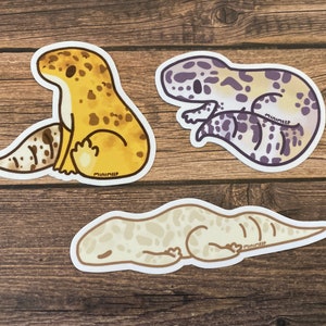 Leopard Gecko Waterproof GLOSSY Vinyl Sticker!! Albino/Macksnow/Tangerine -By Minimeeples
