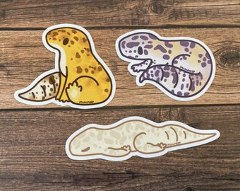 Leopard Gecko Waterproof GLOSSY Vinyl Sticker!! Albino/Macksnow/Tangerine -By Minimeeples