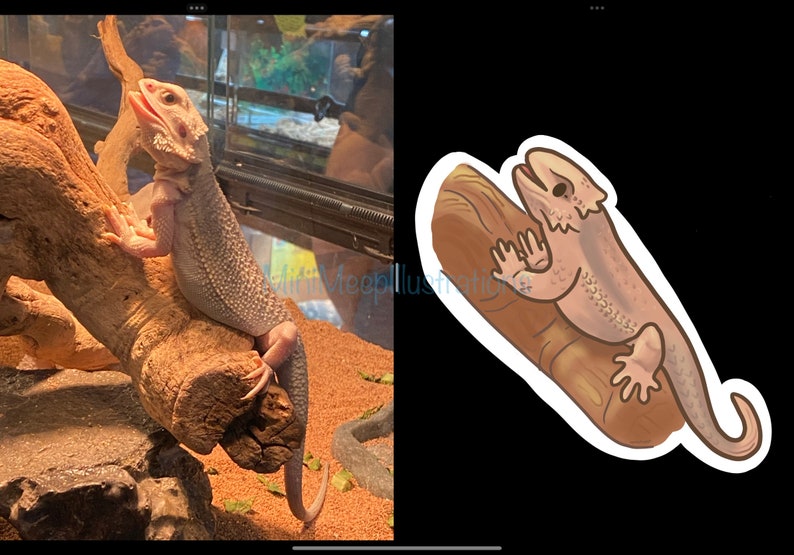Custom Reptile/amphibian Handdrawn Stickers Reptile/amphibian Stickers
