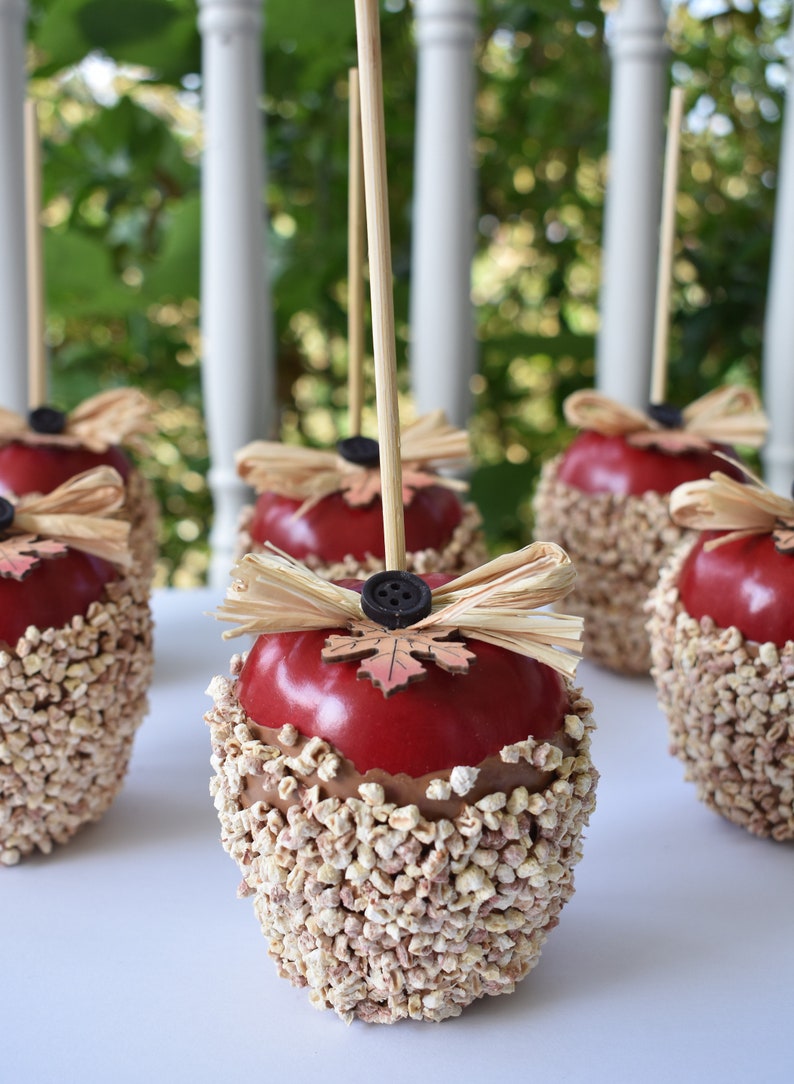 May include: Four red caramel apples decorated with brown and beige straw, a wooden stick, and a brown button with a leaf design. The apples are covered in a layer of white sprinkles.