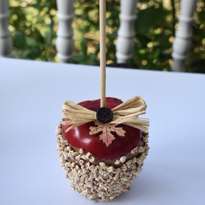 May include: A red apple covered in brown and white sprinkles with a brown bow and a leaf on top. The apple is on a stick.