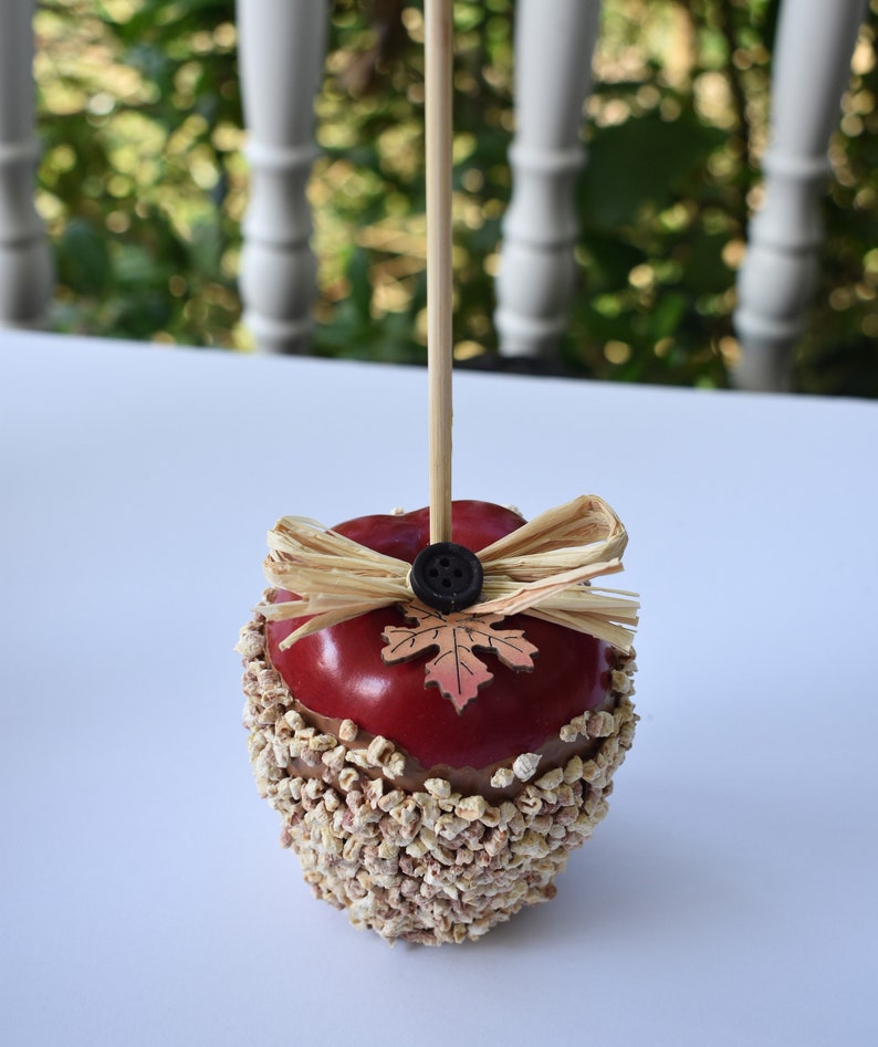 May include: A red apple covered in brown and white sprinkles with a brown bow and a leaf on top. The apple is on a stick.