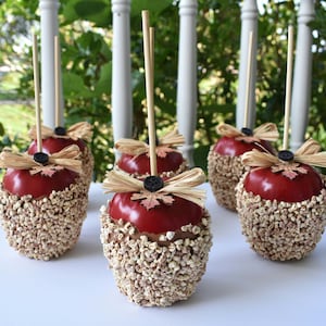 May include: Five red caramel apples decorated with brown and beige sprinkles, a brown bow, and a small brown leaf. The apples are on wooden sticks and are arranged on a white surface.