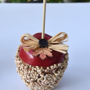 May include: A red apple covered in brown sprinkles with a straw bow and a small brown leaf on top. The apple is on a white surface.