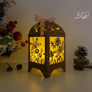 Plantilla de caja de luz de linterna de corte de papel de libélula, plantilla SVG de Cricut, corte Cricut, archivo SVG de caja de luz de corte de papel de linterna 3D DIY