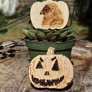 Pode incluir: Duas decorações de abóbora de madeira. Uma apresenta um desenho de pássaro, a outra um rosto de jack-o'-lantern. São colocadas perto de uma suculenta em vaso verde. As abóboras são feitas de madeira clara com detalhes castanhos escuros.