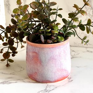 May include: A small, round ceramic planter with a pink and white marbled design. The planter is filled with a faux eucalyptus plant with green and brown leaves. The pot has a light orange rim. The background is a marble pattern.