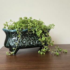 Peut inclure: Un pot de fleurs en céramique vert foncé avec une finition brillante et quatre petits pieds. L'extérieur présente un motif floral et des volutes en relief. Une plante verte retombante aux petites feuilles arrondies pousse dans le pot.