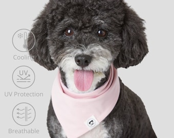 May include: A small black and white dog wearing a pink bandana with the words "Cooling", "UV Protection" and "Breathable" in circles with icons.