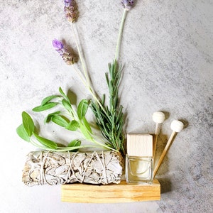 CAR DIFFUSER | Mini Car Reed Diffuser | Refillable Oil Diffuser