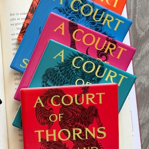 Velaris-Inspired Coaster Set – Romantic Fantasy Fae Court Home Decor – Bookish Gift for Readers