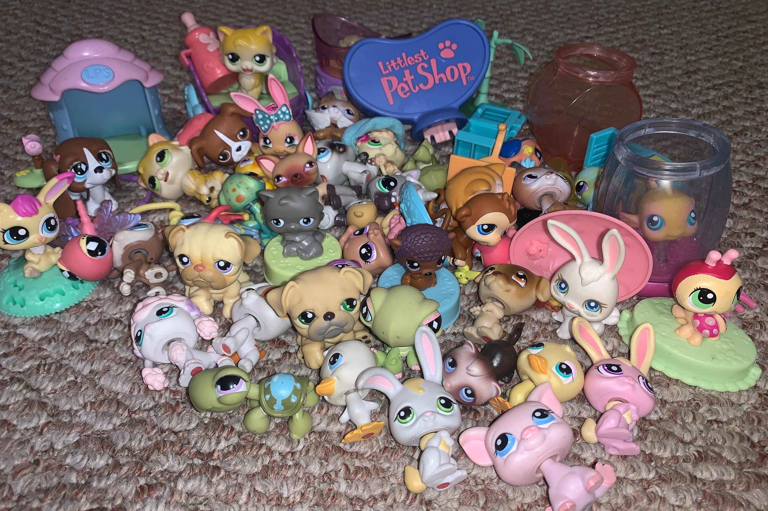 Littlest Pet Shop Nostalgia | tunersread.com