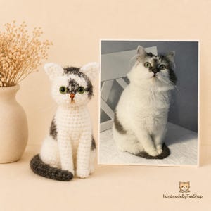 Peut inclure: Une figurine de chat au crochet avec une fourrure blanche et gris foncé, des yeux verts et un petit nez marron, placée à côté d'une photo encadrée d'un chat blanc et gris. Le texte "handmadeByTeeShop" figure dans le coin inférieur droit.