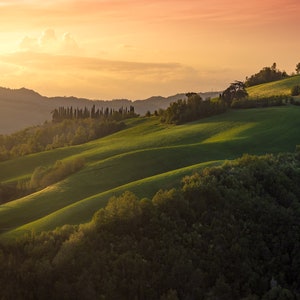 Könnte beinhalten: Eine Panoramaansicht von sanften grünen Hügeln bei Sonnenuntergang. Die Hügel sind mit Bäumen und Gras bedeckt, wobei einige Bäume auf dem Gipfel des höchsten Hügels hervorstechen.