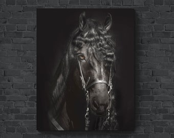 Black Horse Canvas Wall Art - Fotografia di cavalli - Stampe su carta fotografica e tela - Diverse dimensioni
