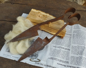 Könnte beinhalten: Draufsicht auf antike Schafschere, einen kleinen Metallhaken, ein Holzstück und einen Haufen roher Wolle. Die Schere ist rostig, mit großen Schlaufengriffen und langen, spitzen Klingen. Die Wolle hat eine cremeweiße Farbe.