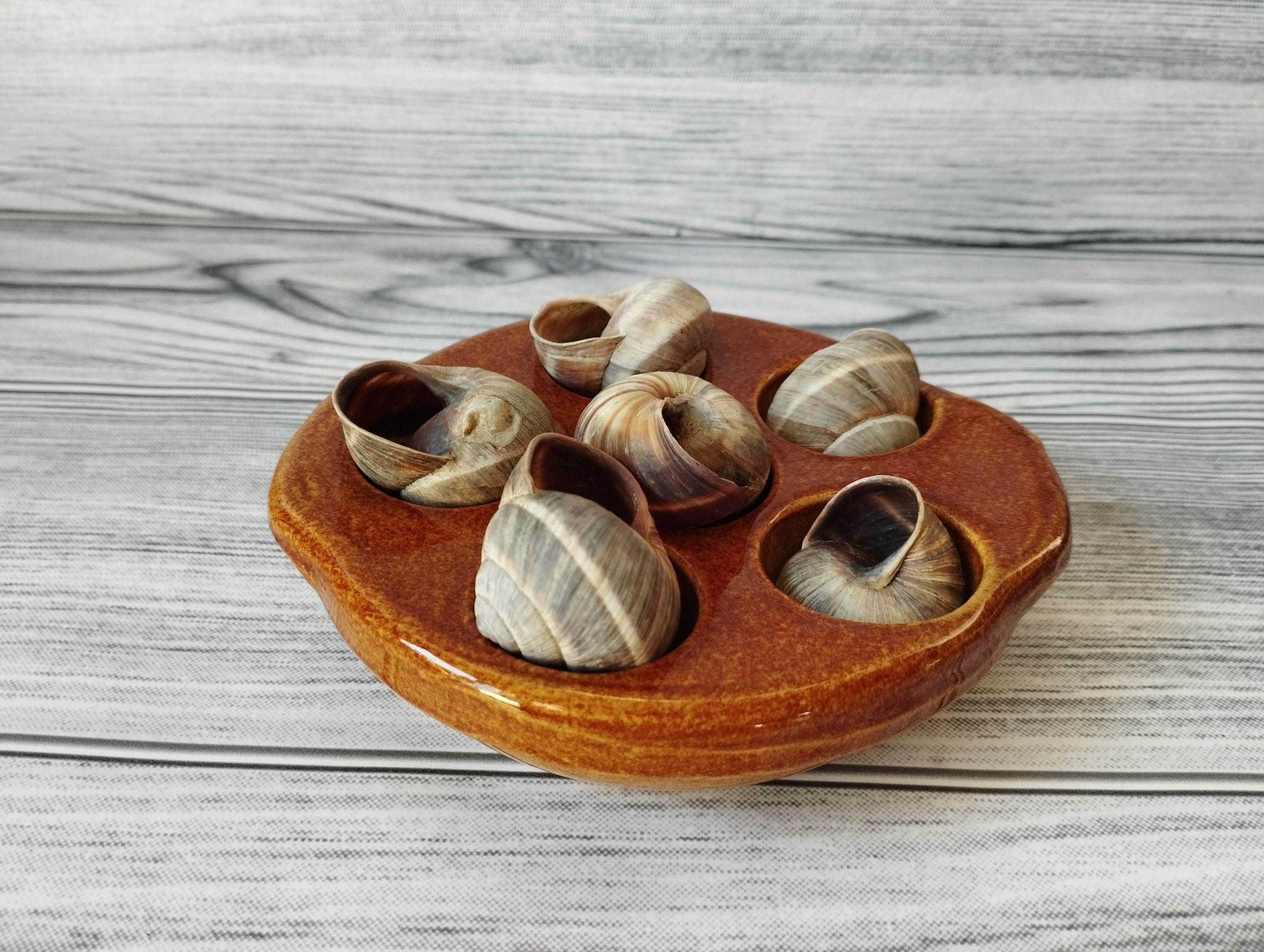 Plat A Escargots 6 Trous En Terre Cuite Plat de service d'escargot - Etsy Canada