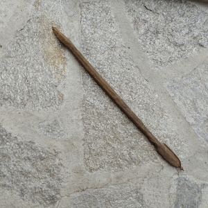 May include: A long, thin, brown wooden stick with a pointed end.