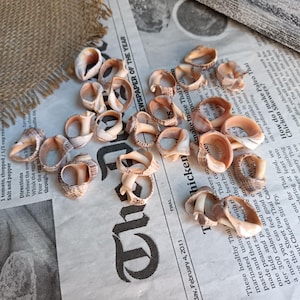 May include: A selection of seashell rings, displaying natural beige and brown patterns, presented on a newspaper backdrop. The rings, varying in size and form, highlight the natural beauty of the sea.