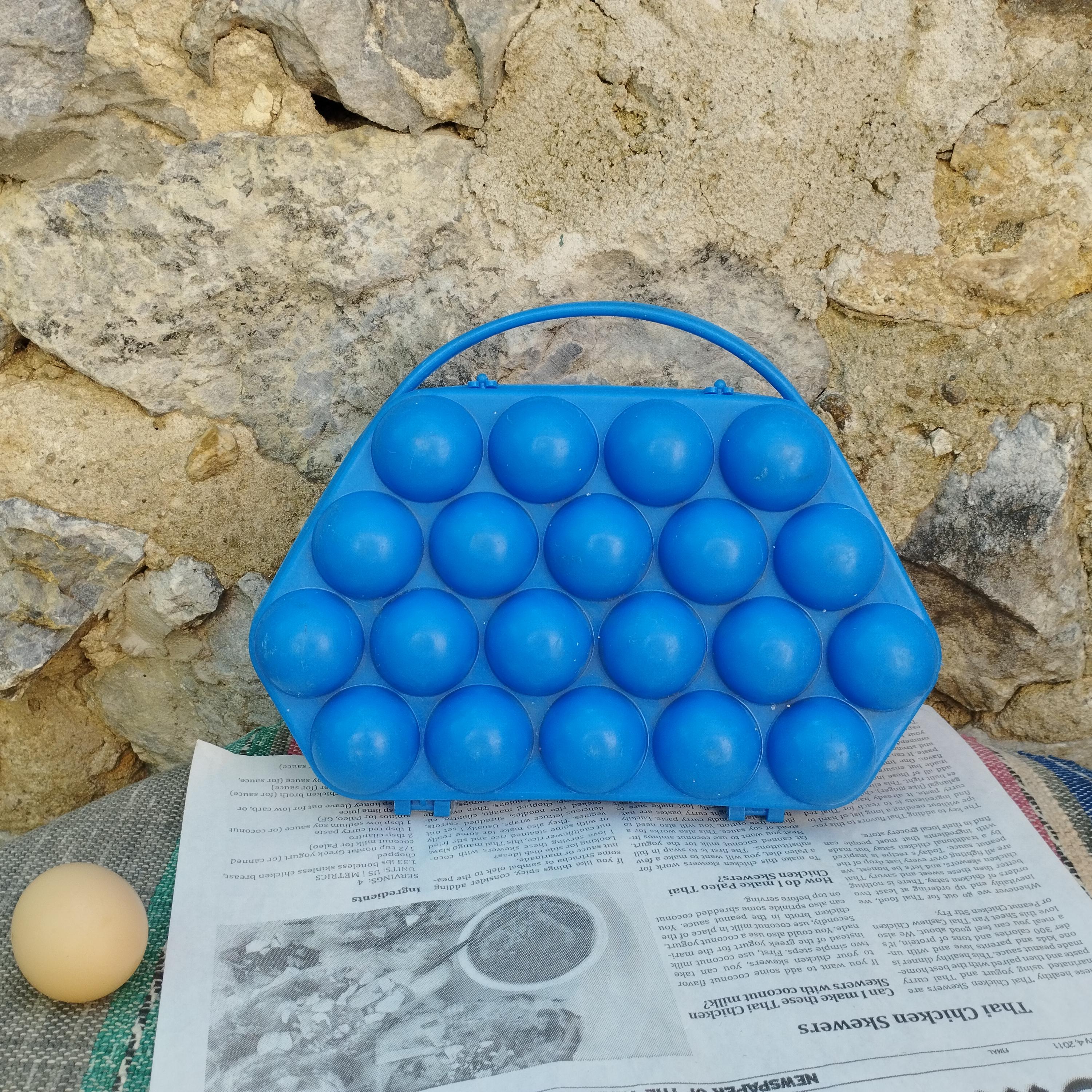 Vintage Soviet 20 Egg Shopping Bag, Plastic Blue Egg Box With