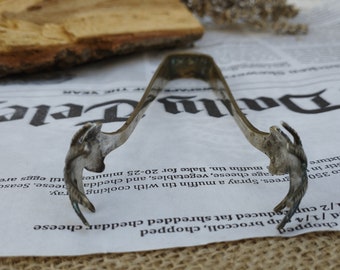 ヴィンテージ シルバーメッキ シュガートング：鳥の爪デザイン、EPNS