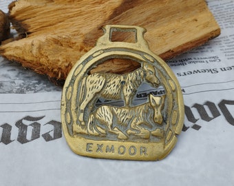 Vintage Brass Horse Harness Medaillon, Paard, Pony, EXMOOR, Cast Brass, Oud Paard Accessoire, Messing Decor, Paard Harnas Ornament, voor hem