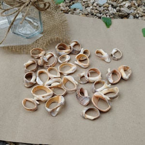 May include: A collection of natural seashell rings in various sizes and shapes. The shells are a light brown color with some darker brown markings. The rings are arranged on a brown paper background.