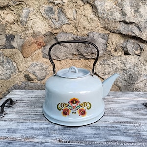 Op de afbeelding: Een lichtblauwe emaille waterketel met een zwarte handgreep en tuit. De waterketel heeft een bloemenpatroon in rood, geel en groen. Hij staat op een wit houten oppervlak met een verweerde uitstraling.