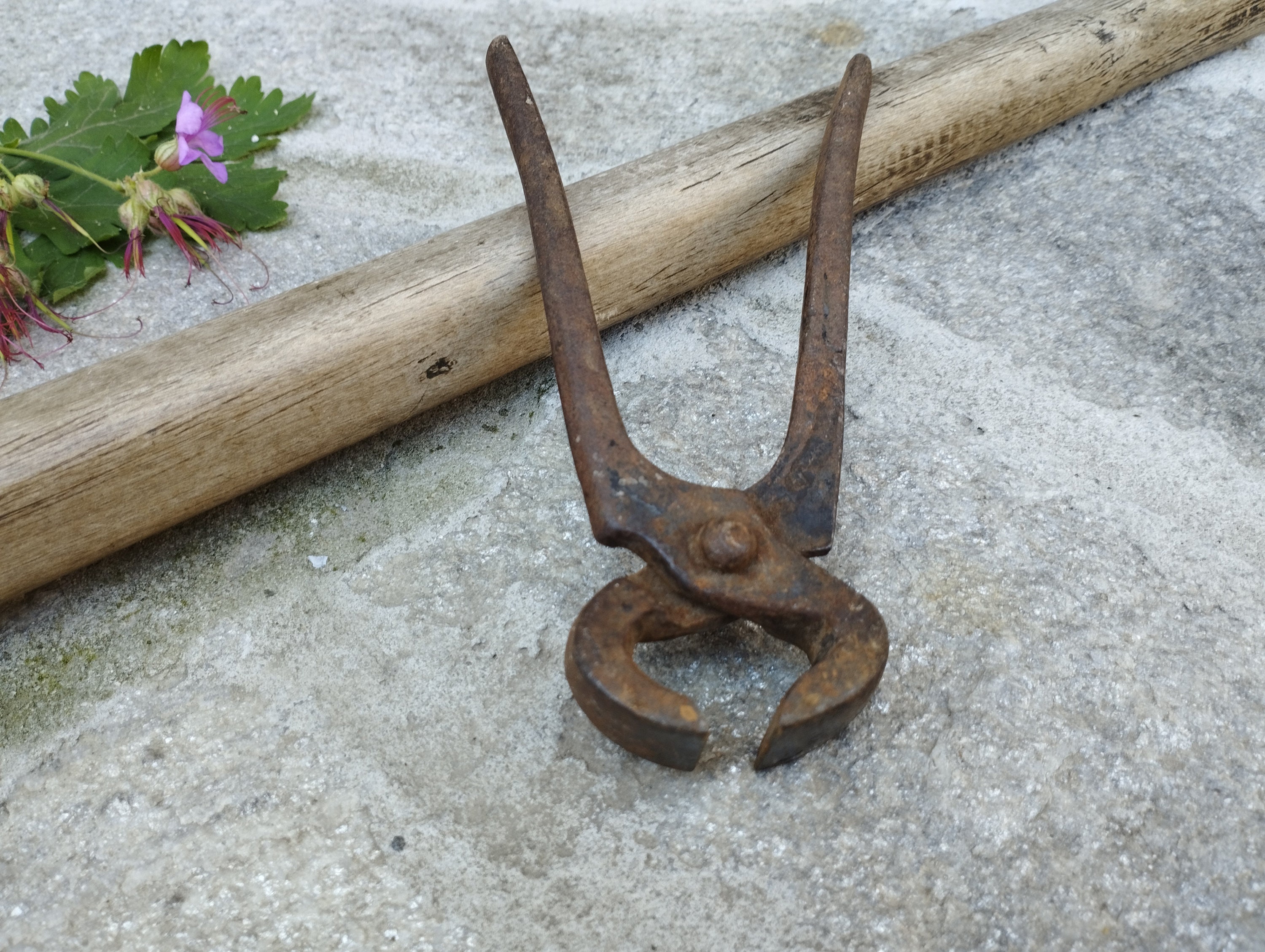 Vintage Iron Pliers, Old Metal Pliers, Metal Tool, Retro Home Decor