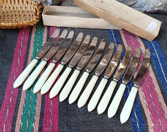 Vintage Soviet Knives Set of 12 Ivory Handles USSR