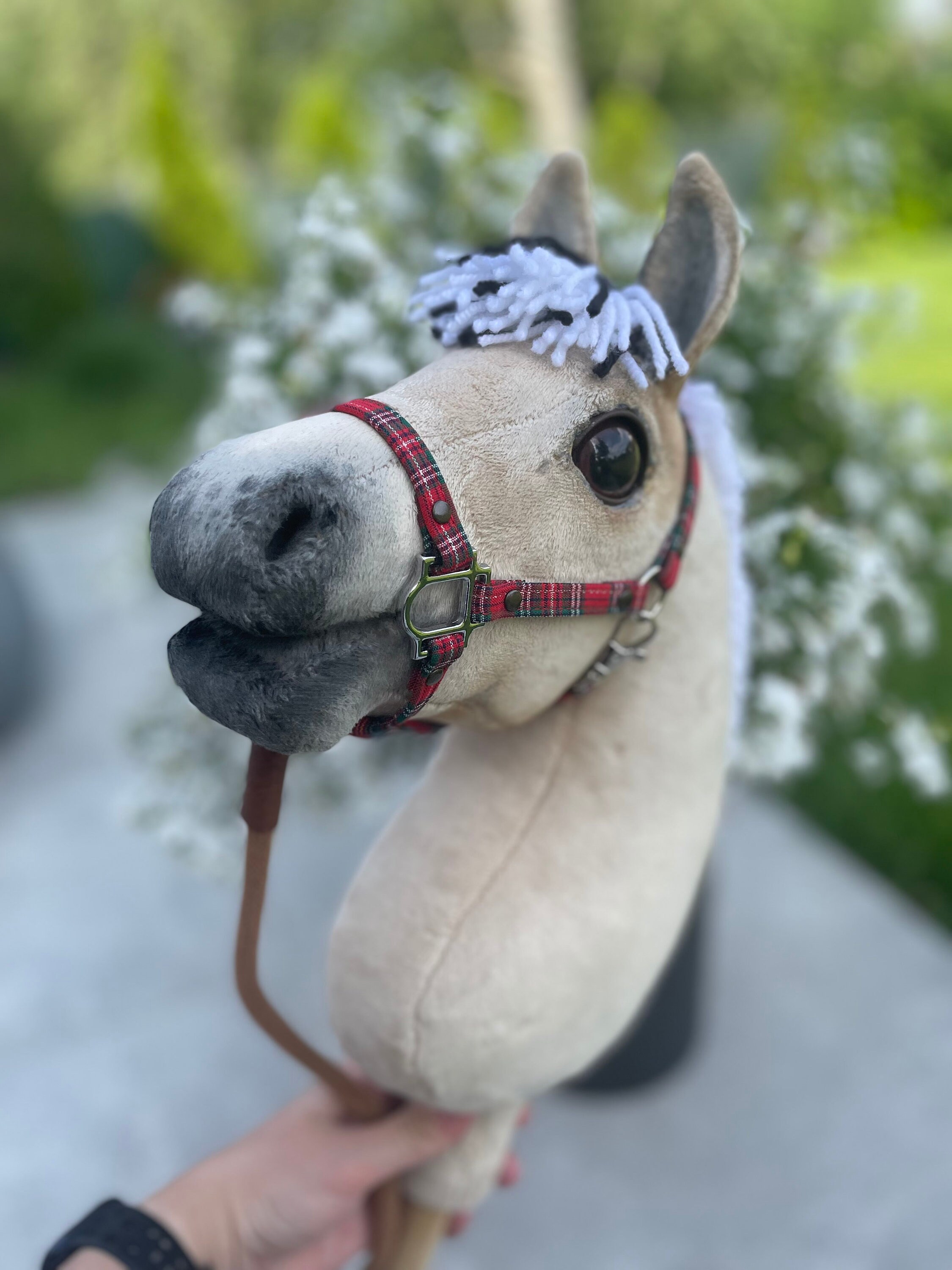 A4 Fjord Hobby Horse, Fjord Hobby Horse, Horse on a Stick With a Halter