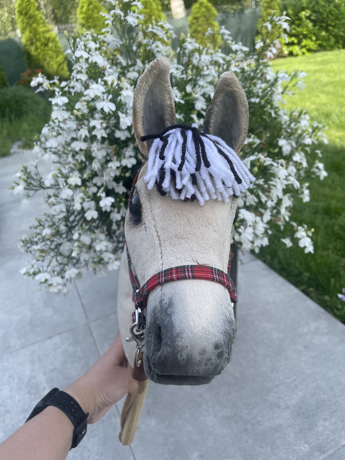 A4 Fjord Hobby Horse, Fjord Hobby Horse, Horse on a Stick With a Halter