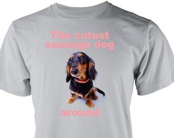 Dachshund