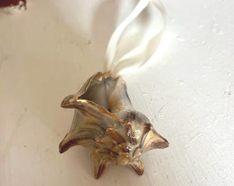Unique Whelk Ornament