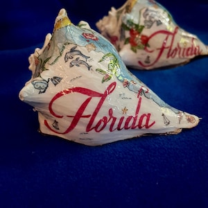 Op de afbeelding: Twee schelpen beschilderd met een kaart van Florida en het woord "Florida" in het rood. De schelpen liggen op een blauwe ondergrond.