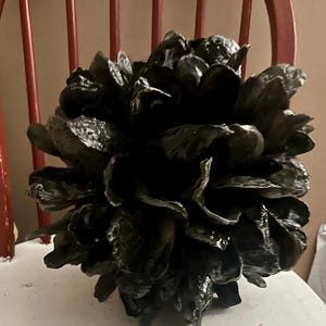 May include: A cluster of black mussels, tightly packed together, creating a unique and organic shape. The mussels are wet and glistening, with a dark, almost black, color.