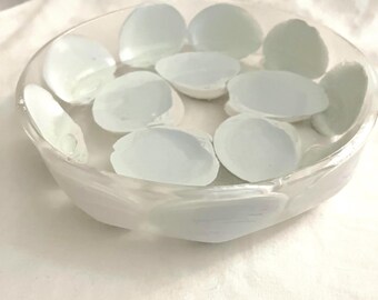 Herzstück der Muschelschale: Stranddekor (18 cm)