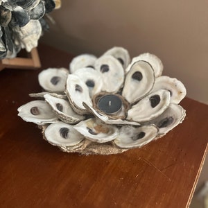 Oyster Shell Candle Holder