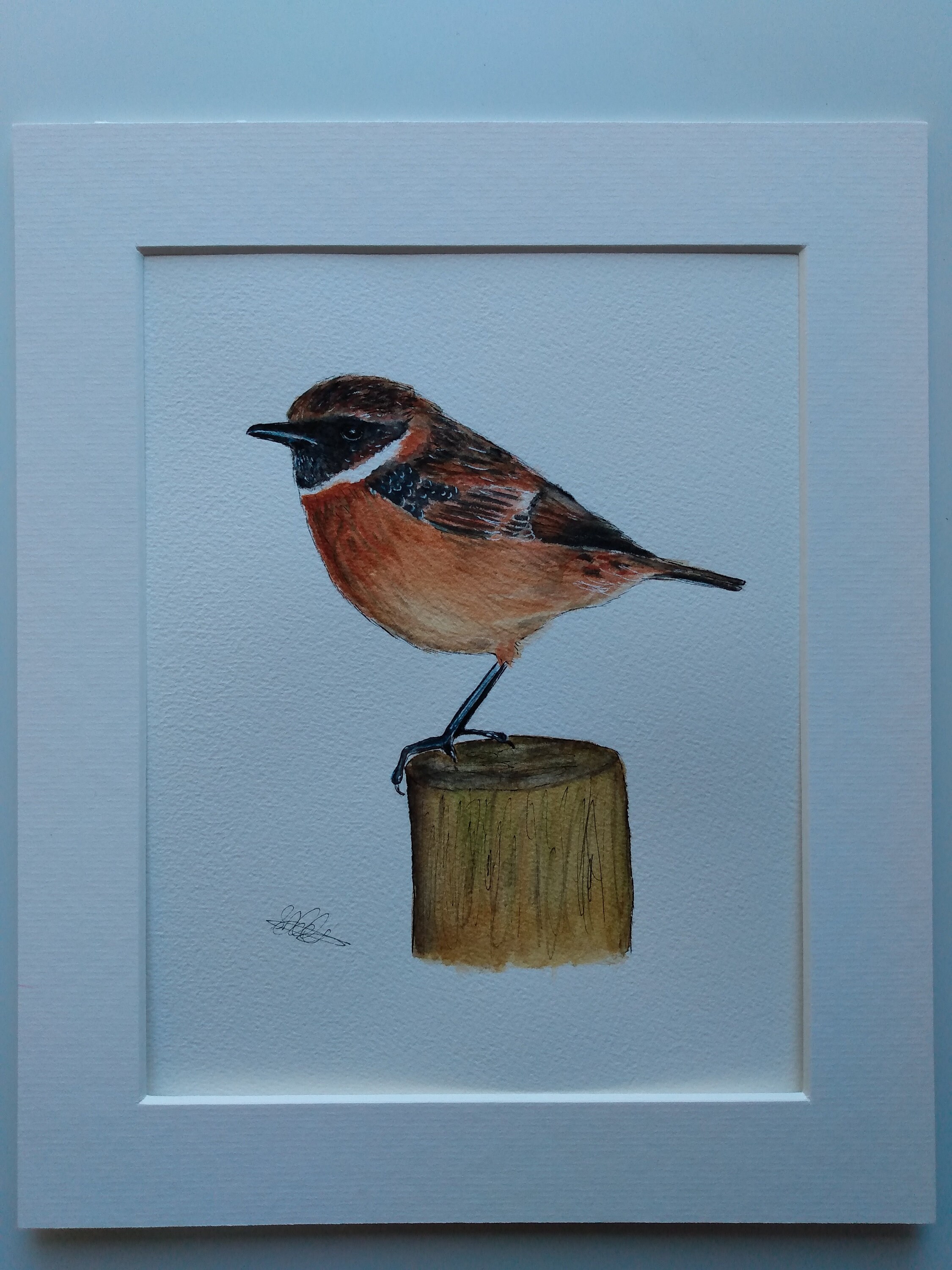 Stonechat Original Watercolour Mounted 10x12