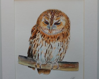 Tawny Eule Original Aquarell montiert 10x12